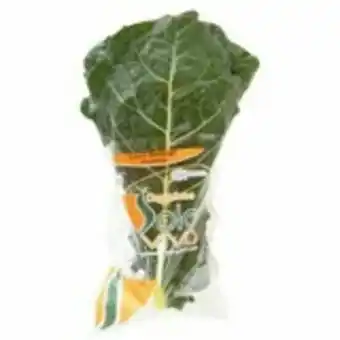 Hortifruti Couve manteiga orgânica solo vivo - unidade oferta