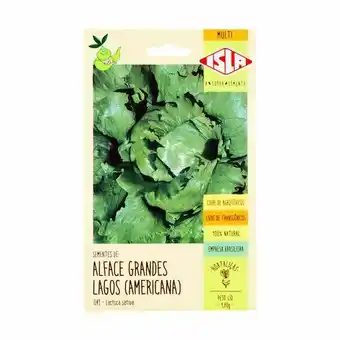 Zona Sul Sementes de alface americana isla 1,70g oferta