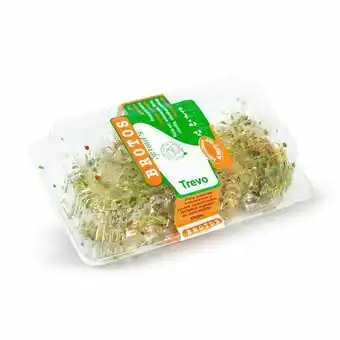 Broto de trevo sprout's 150g