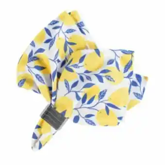 Guardanapo de tecido estampado 40x40cm kit 4 unidades sic...