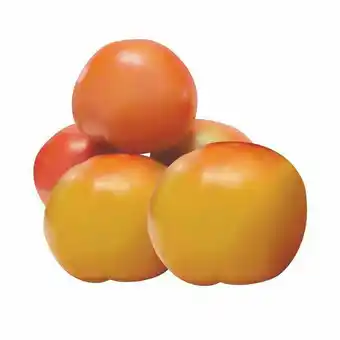 Giga Atacado Tomate extra kg oferta
