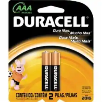 Pilha duracell sm palito aaa c2