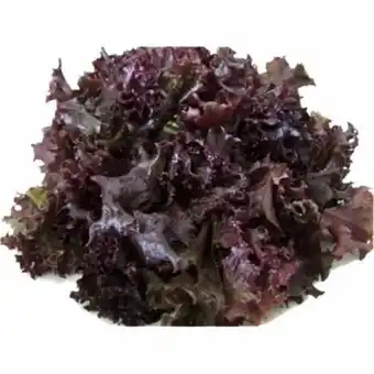 Violeta Supermercados Alface roxa l&a maço oferta