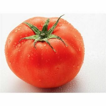 Supermercados Paraná Tomate kg oferta