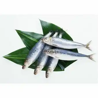 Supermercados Paraná Peixe sardinha fresca inteira kg oferta