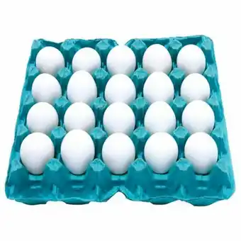 X Supermercados Ovo branco modelo grande embalagem 20 un oferta