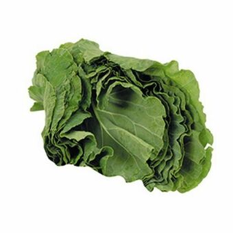 Supermercado Precito Couve manteiga maço oferta