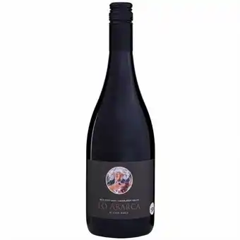 Mambo Vinho chileno tinto pinot noir lo abarca 750ml oferta