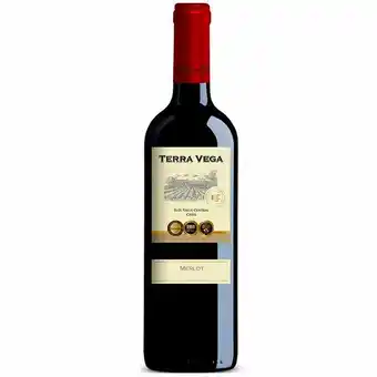 Mambo Vinho chileno merlot terra vega classic 750ml oferta