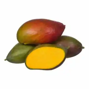Unicompra Manga palmer 500g 01 unid. - 67997 oferta