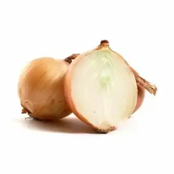 Rede Top Cebola oferta