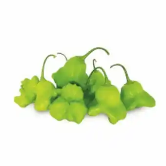 Pimenta de cheiro 180g (aprox 8 unids)