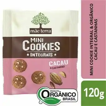 Supermercado Taquaral Cookie orgânico mini mãe terra cacau e castanhas 120g oferta