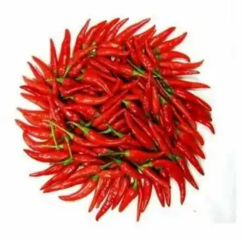 Pimenta malagueta kg