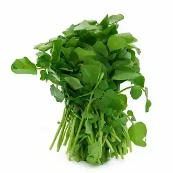 Agrião pronto embalagem 160g