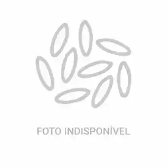 Ovo branco da terra embalagem 12un