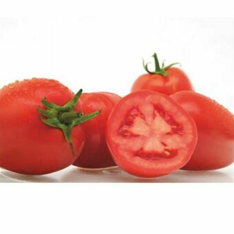 Tomate pizzadoro