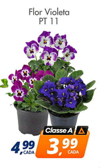 Delta Supermercados Flor Violeta PT 11 oferta