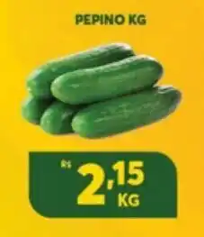 Atacadão Centro Sul Pepino 1kg oferta