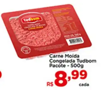 Carne Molda Congelada Tudbom Pacote - 500g
