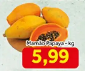 Shibata Supermercados Mamão Papaya-kg oferta