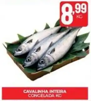 CAVALINHA INTEIRA CONCELADA KG