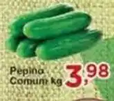 Rossi Supermercado Pepino Comum kg oferta