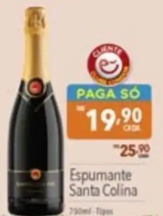 Espumante Santa Colina 750ml-Tipos