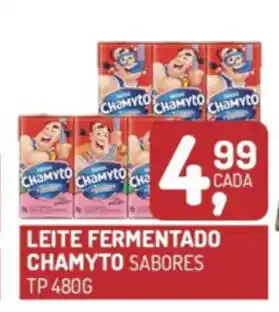 Fort Atacadista Leite Fermentado Chamyto 480g oferta
