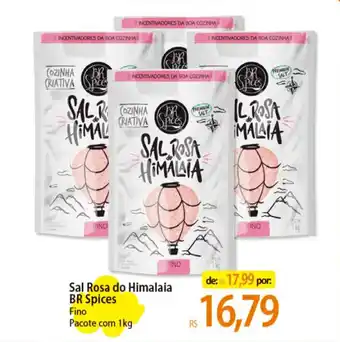 Sal Rosa do Himalaia BR Spices Fino Pacote com 1kg