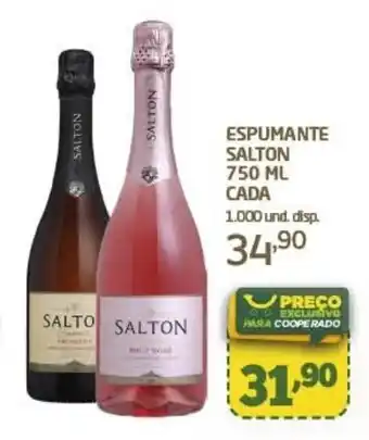 Cooper ESPUMANTE SALTON 750 ML oferta
