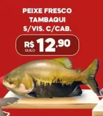 PEIXE FRESCO TAMBAQUI S/VIS. C/CAB.