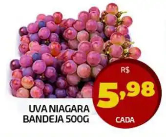 Iquegami Supermercados UVA NIAGARA BANDEJA 500G oferta