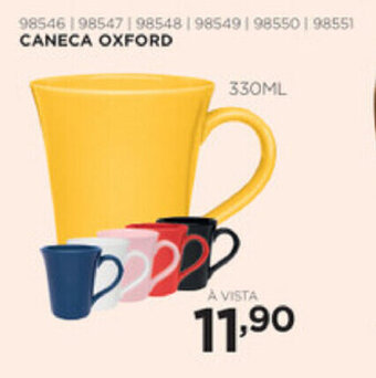 Benoit Caneca Oxford 330ml oferta