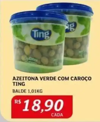 AZEITONA VERDE COM CAROÇO TING BALDE 1,01KG
