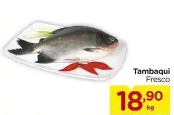 Carrefour Tambaqui Fresco oferta