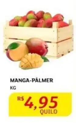 MANGA-PALMER KG