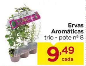 Ervas Aromaticas