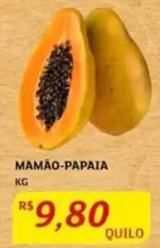 MAMÃO-PAPAIA KG