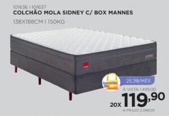 Benoit Colchao Mola Sidney c/ Box Mannes oferta