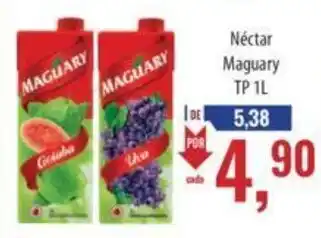 Supermercados BH Néctar Maguary TP 1L oferta