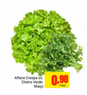 Alface Crespa ou Cheiro verde Maco