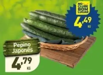 Pepino Japonês kg