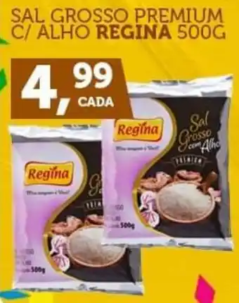 CenterBox SAL GROSSO PREMIUM C/ ALHO REGINA 500G oferta