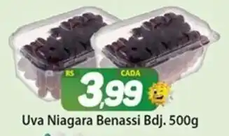 Uva Niagra Benassi Bdj. 500g