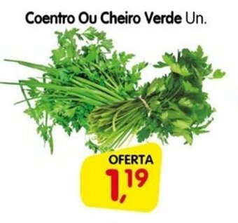 Coentro ou Cheiro Verde un.