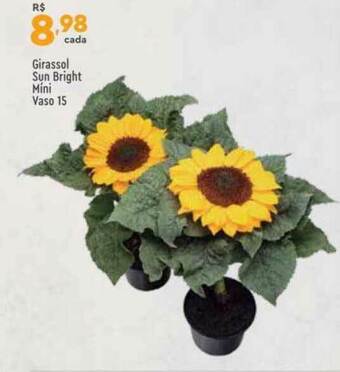 Girassol Sun Bright Mini Vaso 15