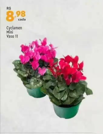 Supper Rissul Cyclamen Mini Vaso 11 oferta