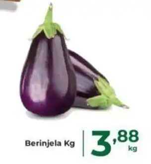 Berinjela Kg
