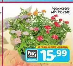 Vaso Roseira Mini P15